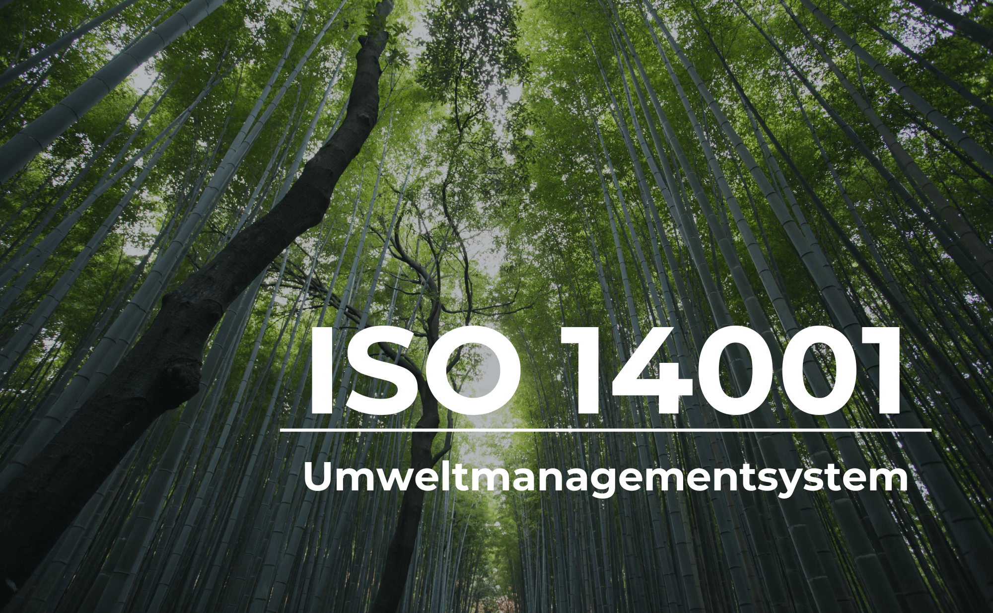 ISO 14001