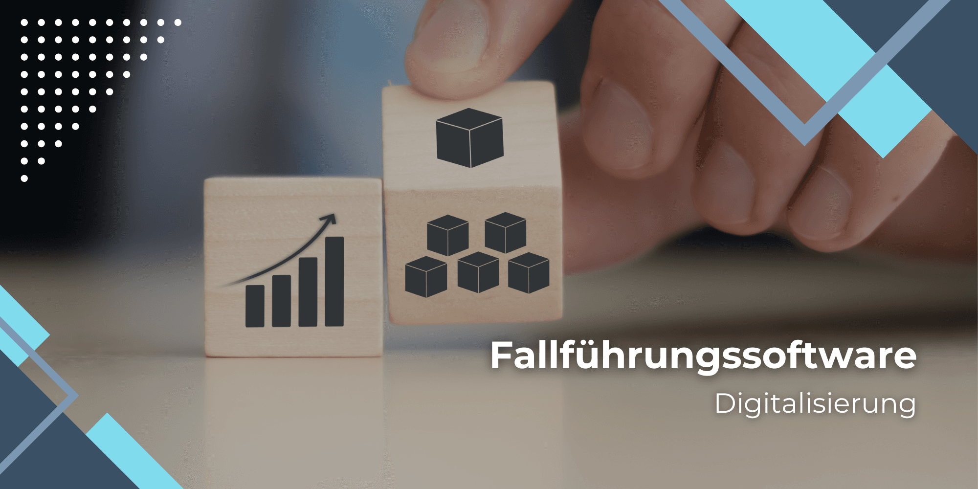 Fallführungssoftware