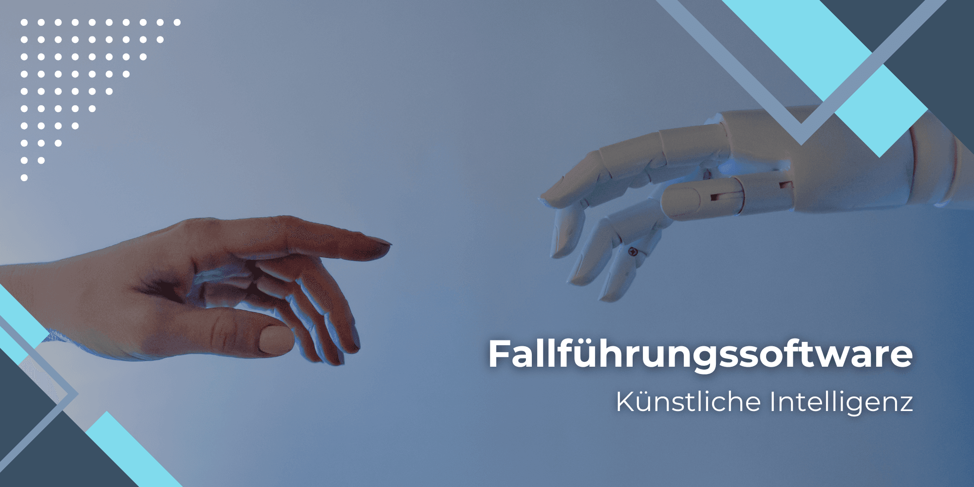 Fallführungssoftware